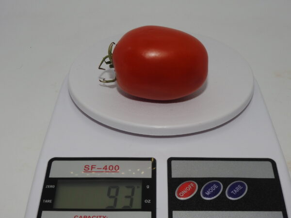 CS-2107 - Image 2
