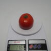 CS-2109 - Image 2