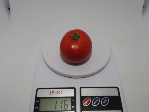 CS-2109 - Image 2