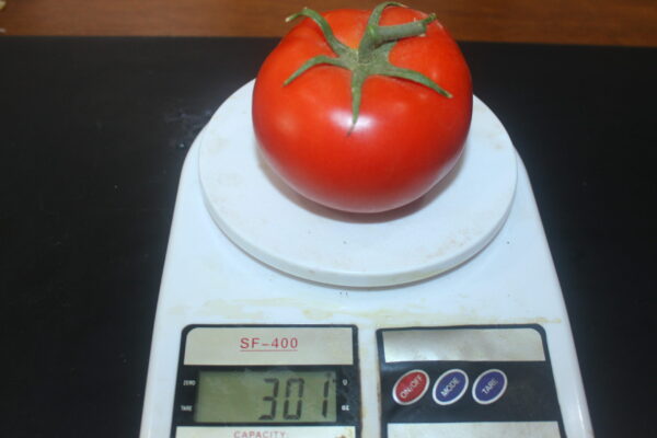 CS-2208 - Image 3